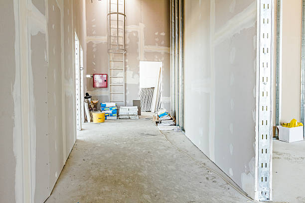 Best Drywall for New Construction  in San Antonio, FL